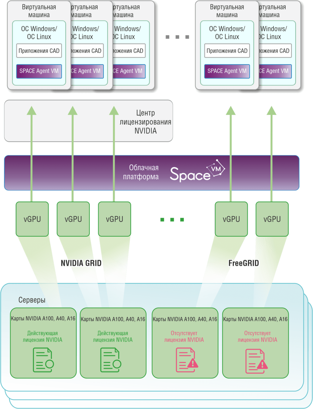 Comptek - Space 6.5 + FreeGRID
